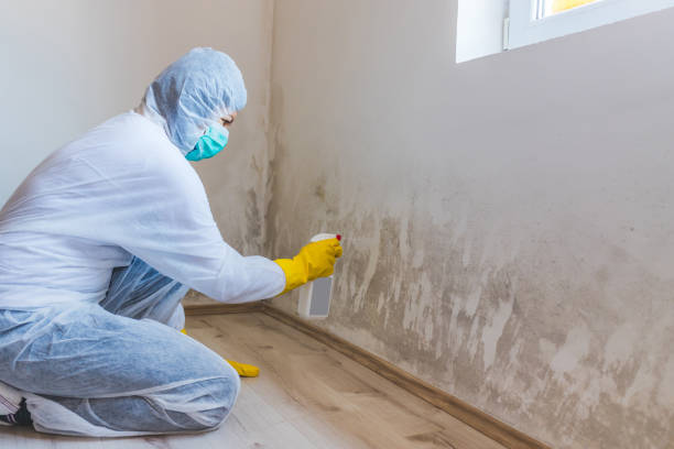Licensed Commercial Mold Remediation service in Houtzdale, PA - WQB Mold Removal