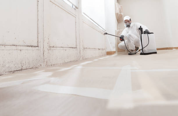 24/7 Emergency Commercial Mold Remediation experts in Houtzdale, PA