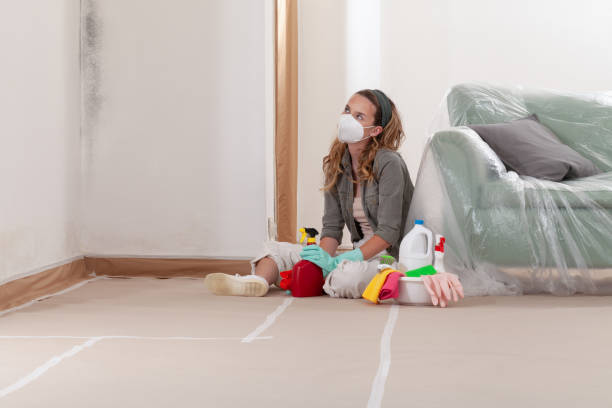 Reliable Commercial Mold Remediation contractor in Houtzdale, PA by WQB Mold Removal